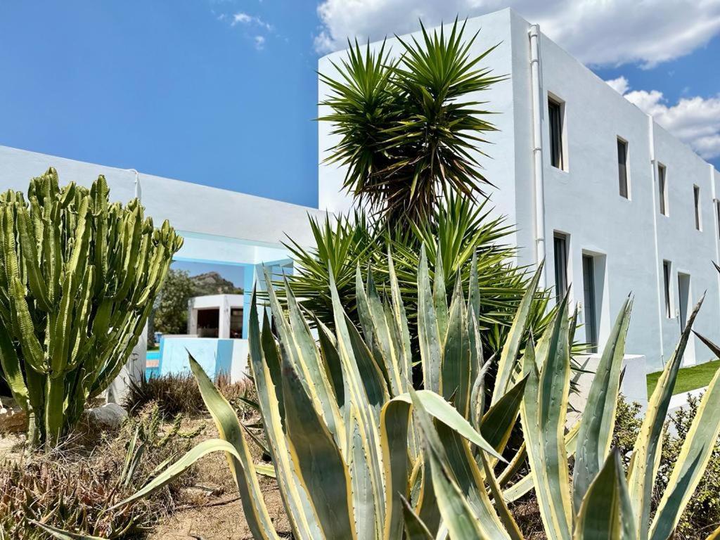 Leblanc Luxurious Beachfront Villa, Gcollectiongr Ermioni Exterior photo